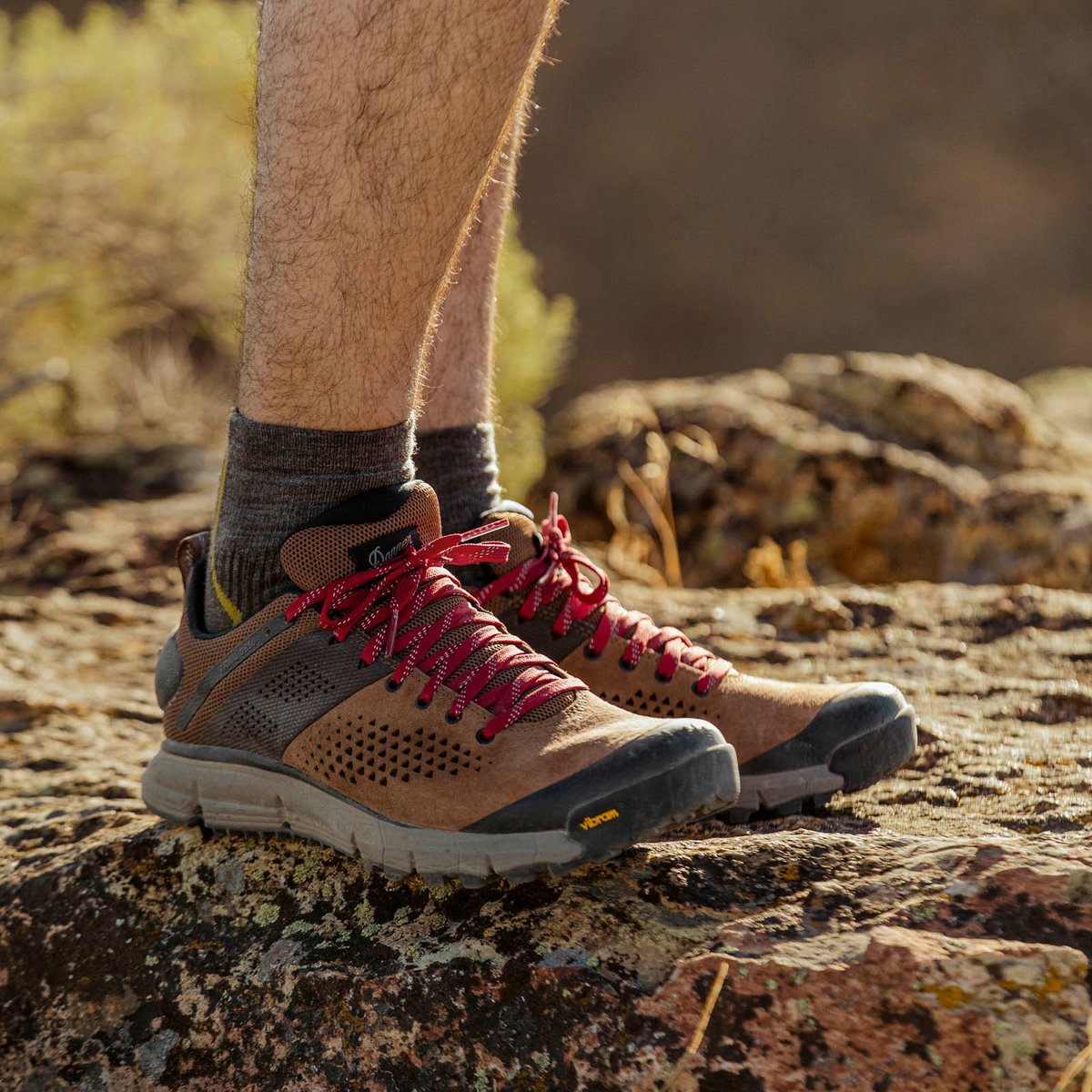 Danner Trail 2650 Brown/Red