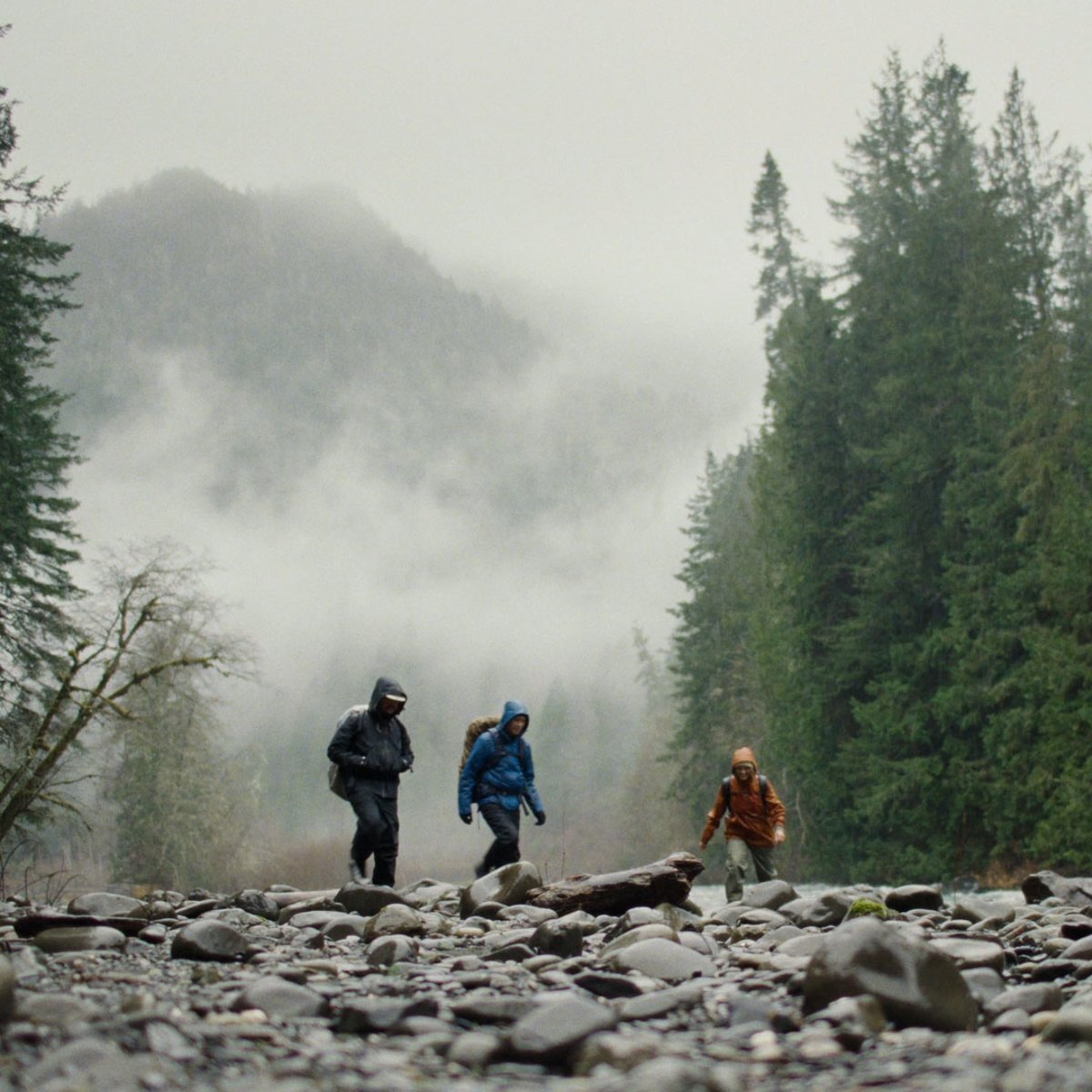 Danner N45 GTX Trillium