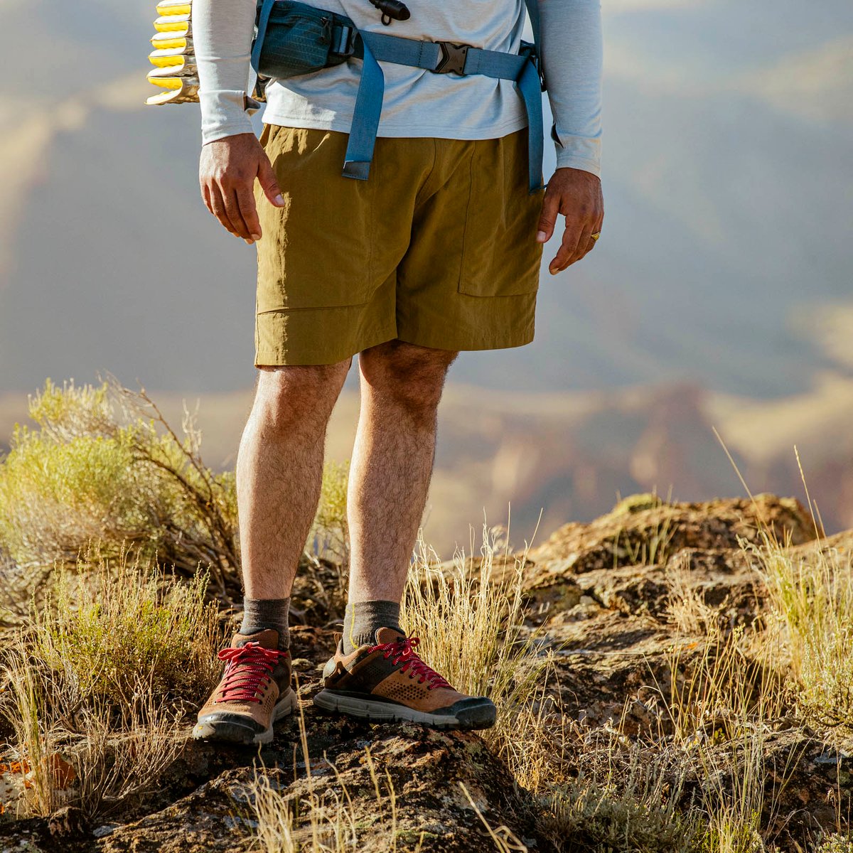 Danner Trail 2650 Brown/Red