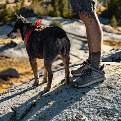 Danner Trail 2650 Charcoal/Goblin Blue