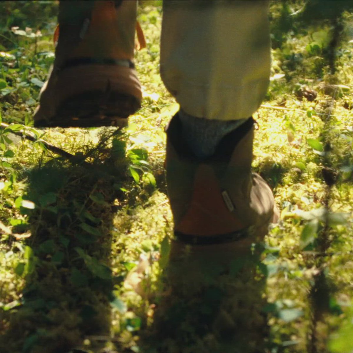 Danner Mountain 600 Rich Brown