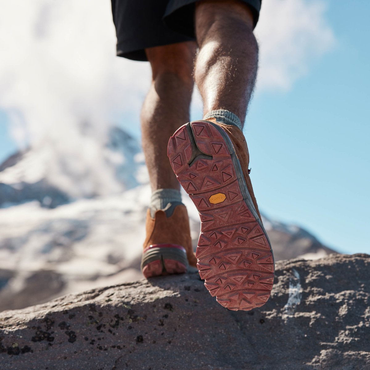 Danner Mountain 600 Brown/Red