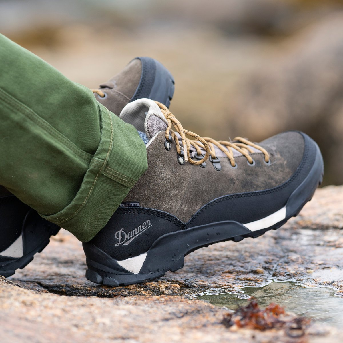 Danner Panorama Low 4" Black Olive