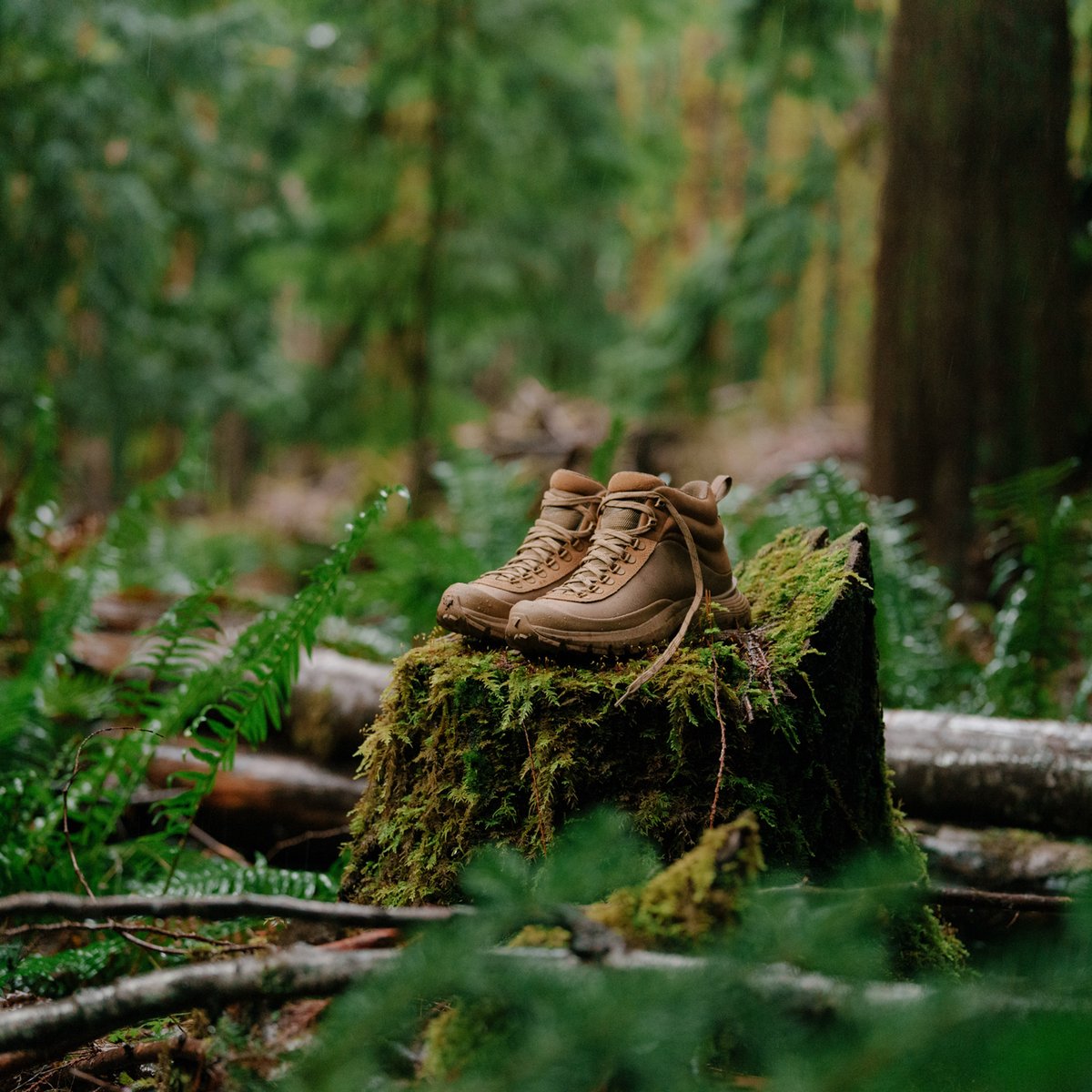 Danner Trail Trainer Coyote