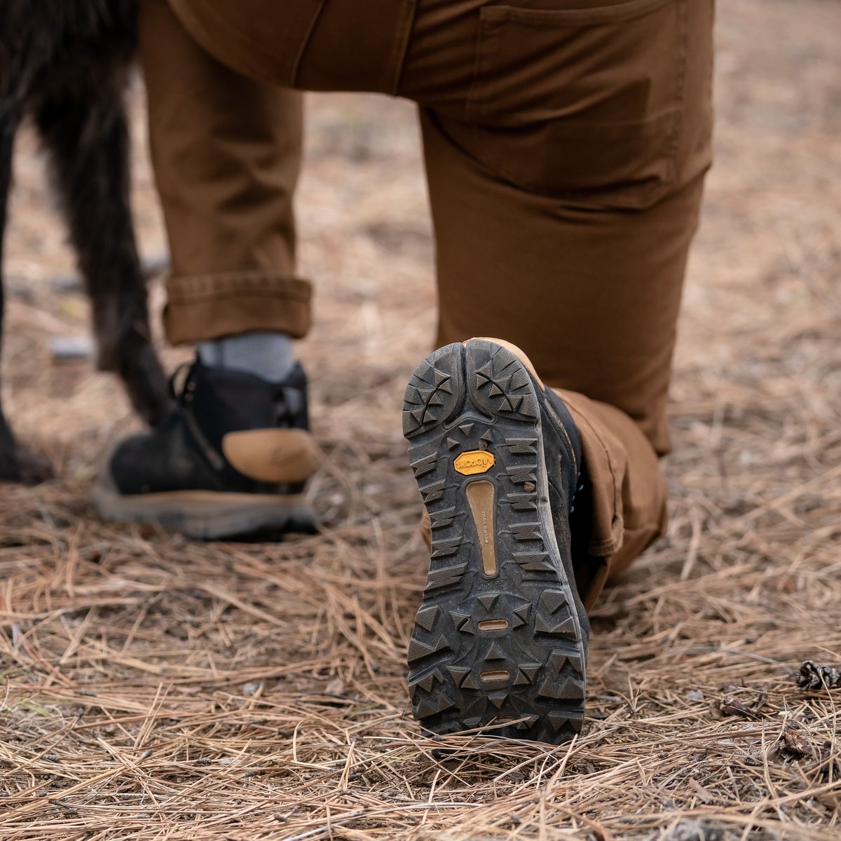 Danner Danner X Filson Trail 2650 Mid GTX Jet Black