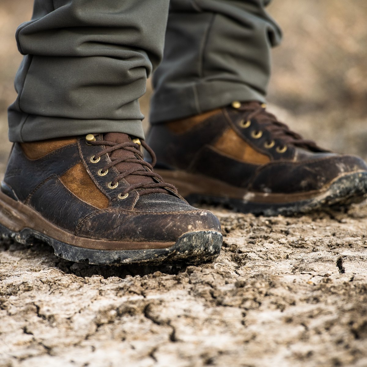 Danner Recurve Brown