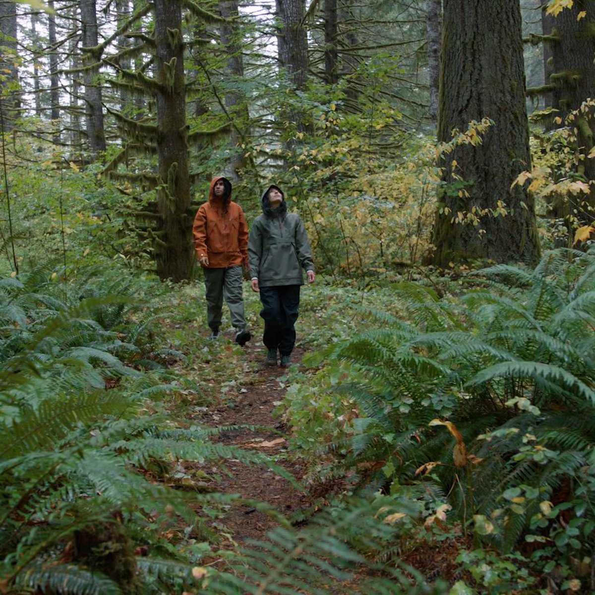 Danner Cascade Crest Packable GTX Pants Dusty Olive