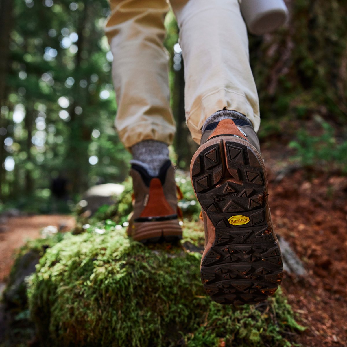 Danner Mountain 600 Chocolate Chip/Golden Oak