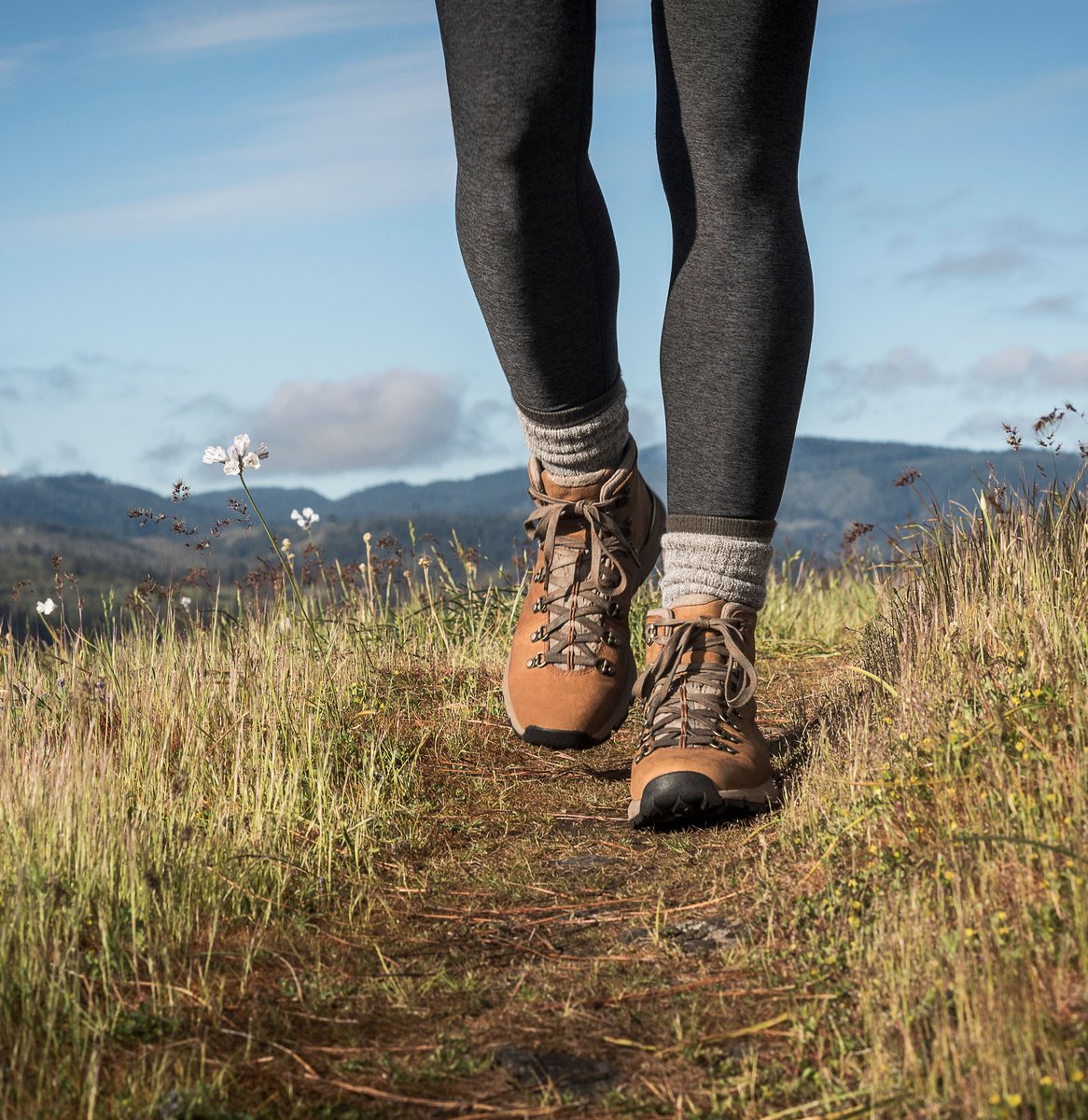 Danner Mountain 600 Rich Brown