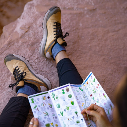 Danner Trail 2650 GTX Prairie Sand/Gray