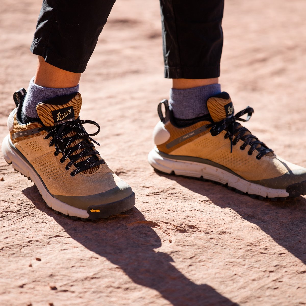 Danner Trail 2650 GTX Prairie Sand/Gray