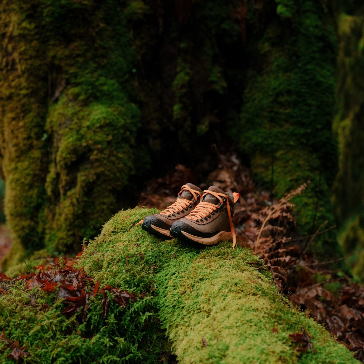 Danner Trail Trainer Malt Brown/Orange Peel