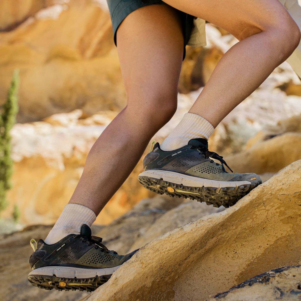 Danner Trail 2650 Oil Green/Jet Black