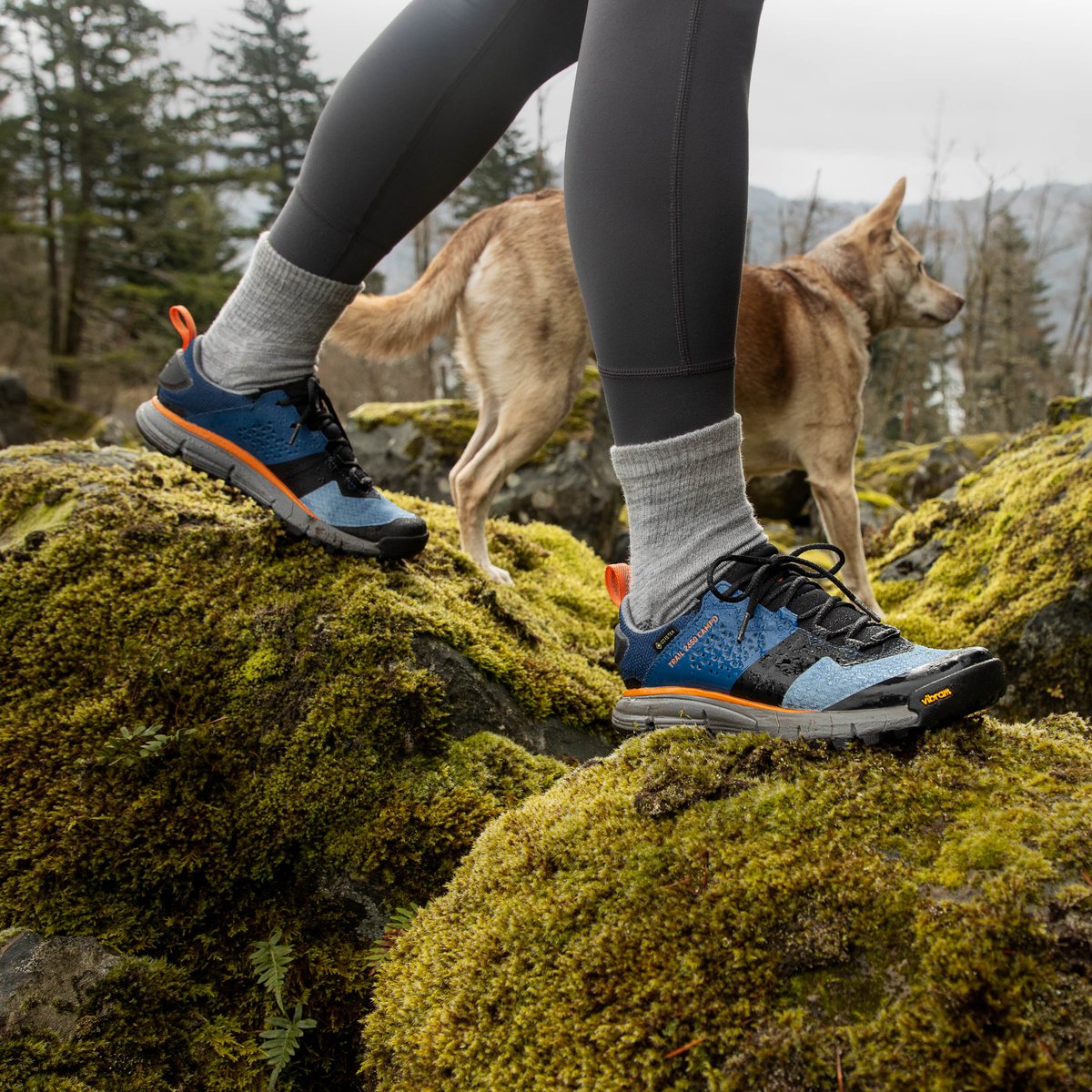 Danner Trail 2650 Campo GTX Blue/Orange
